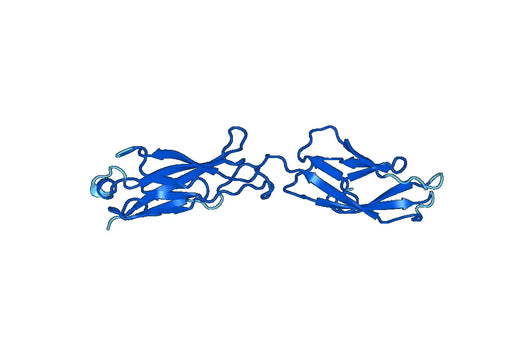 Recombinant Mouse CDH13 Protein, N-His