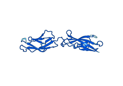 Recombinant Mouse CDH4 Protein, N-His