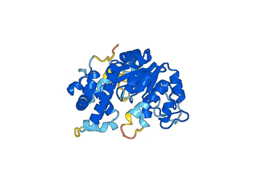 Recombinant Mouse CHST3 Protein, N-His