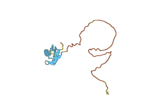 Recombinant Mouse CIRBP Protein, N-GST