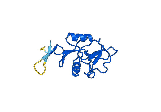 Recombinant Mouse CLEC4E Protein, N-His