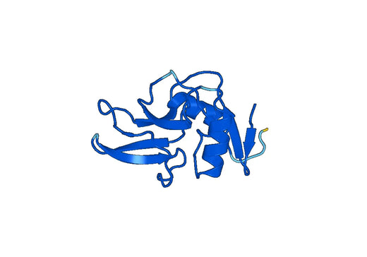 Recombinant Mouse CLEC4G Protein, N-His-SUMO