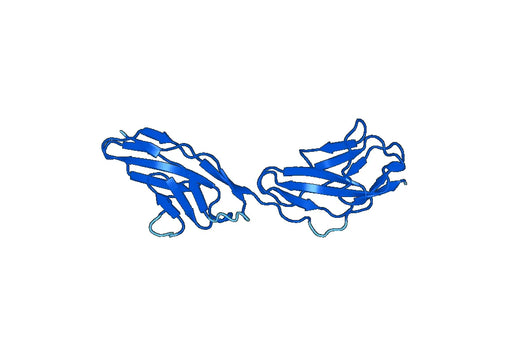 Recombinant Mouse CNTN3 Protein, N-His