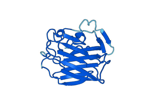 Recombinant Mouse COL18A1 Protein, N-His