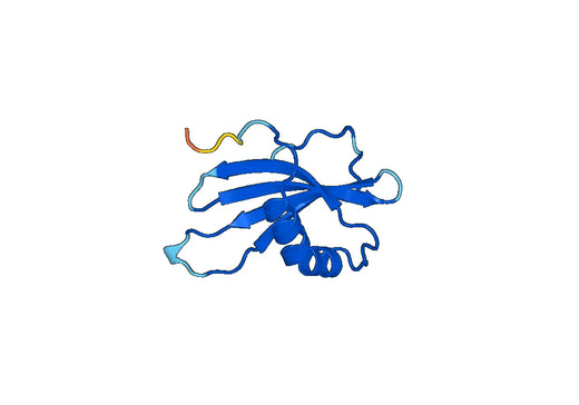 Recombinant Mouse CSTB Protein, N-GST & C-His