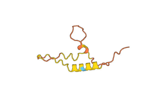 Recombinant Mouse CXCL17/DMC/VCC1 Protein, N-His-SUMO