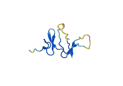 Recombinant Mouse DKK1 Protein, N-His
