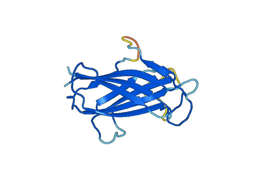 Recombinant Mouse DLL4 Protein, N-His
