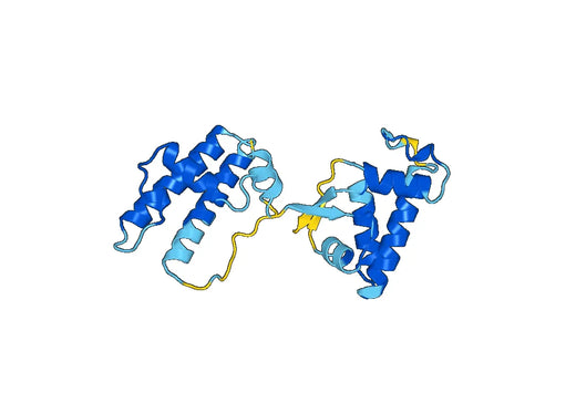 Recombinant Mouse ECM1 Protein, N-His