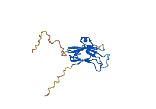 Recombinant Mouse EFNA1 Protein, N-His