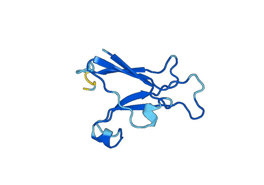 Recombinant Mouse EFNA4 Protein, N-His