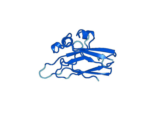 Recombinant Mouse EFNB1 Protein, N-His