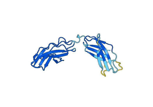 Recombinant Mouse EGFLAM Protein, N-His
