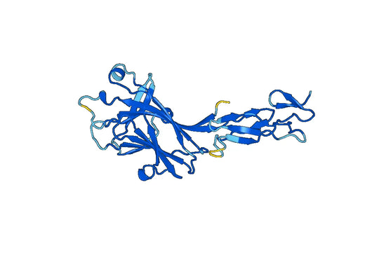 Recombinant Mouse EPHA2 Protein, N-His