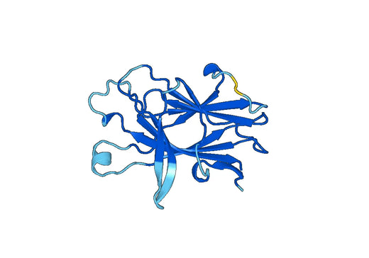 Recombinant Mouse EPHA6 Protein, N-His