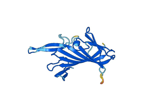 Recombinant Mouse ERAP1 Protein, N-His