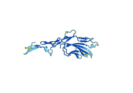 Recombinant Mouse FBLN7 Protein, N-His
