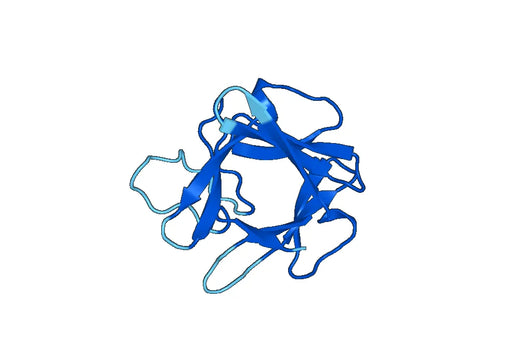 Recombinant Mouse FGF23 Protein, N-His