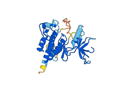 Recombinant Mouse FGFR2 Protein, N-His