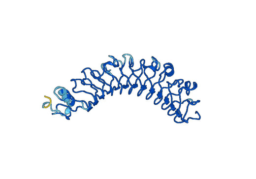Recombinant Mouse FLRT2 Protein, N-His