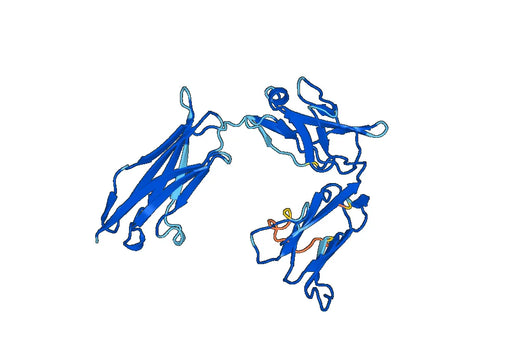 Recombinant Mouse FLT4 Protein, N-His