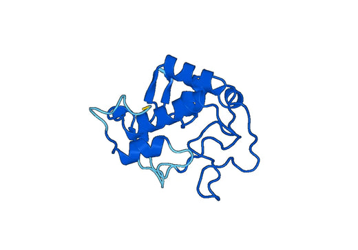 Recombinant Mouse FOLR1 Protein, N-His