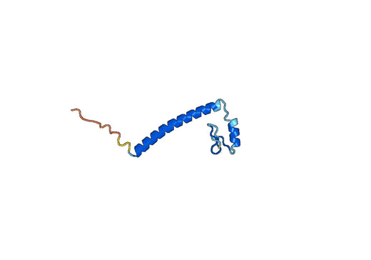Recombinant Mouse FOXP3 Protein, N-GST & C-His