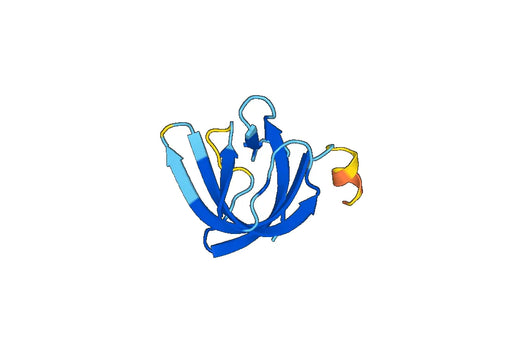 Recombinant Mouse FRZB Protein, N-His