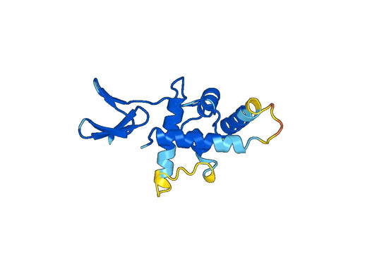 Recombinant Mouse FSTL1 Protein, N-His