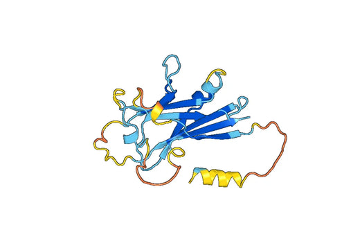 Recombinant Mouse GDF7 Protein, N-His