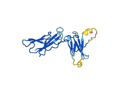 Recombinant Mouse GHR Protein, N-His