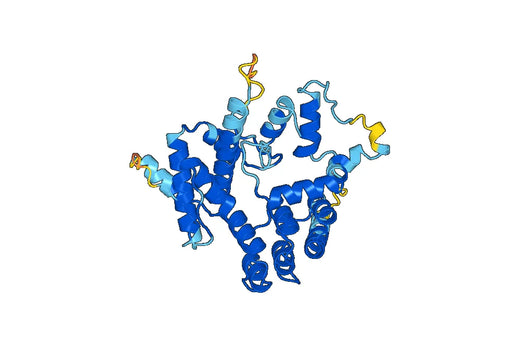 Recombinant Mouse GIT2 Protein, N-His