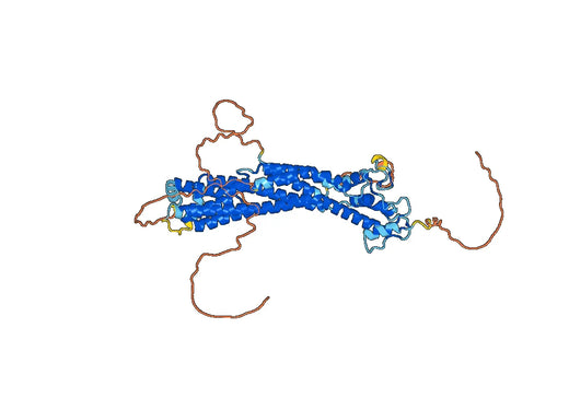 Recombinant Mouse GPC3/Glypican 3 Protein, C-His