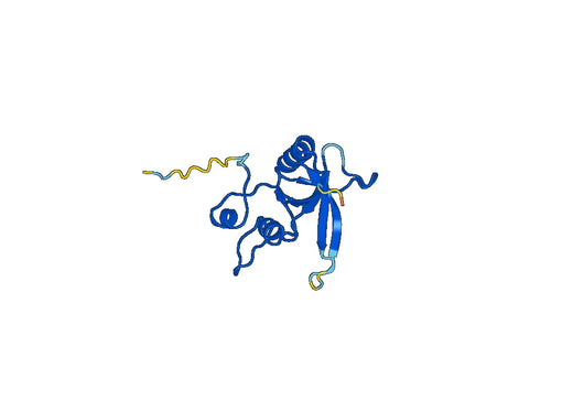 Recombinant Mouse GRIN2A Protein, N-His