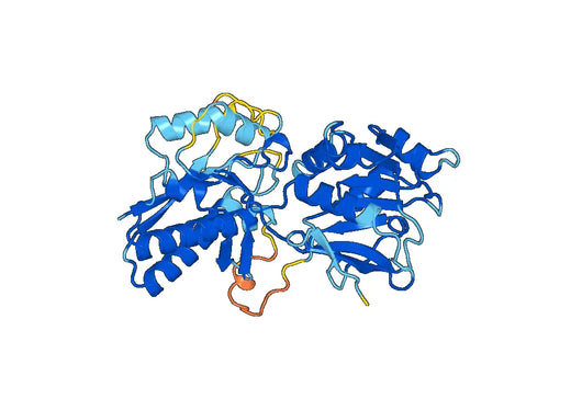 Recombinant Mouse GUCY2C/GCC Protein, N-His