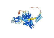 Recombinant Mouse HSPA5/BIP Protein, N-His