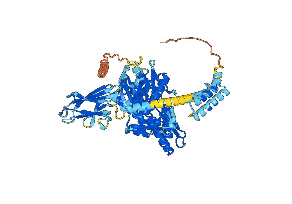 Recombinant Mouse HSPA5/BIP Protein, N-His