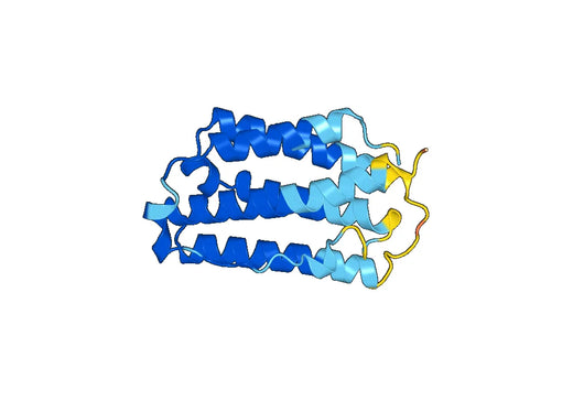 Recombinant Mouse Ifna15 Protein, N-His