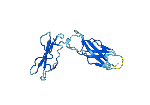 Recombinant Mouse IFNLR1 Protein, N-His