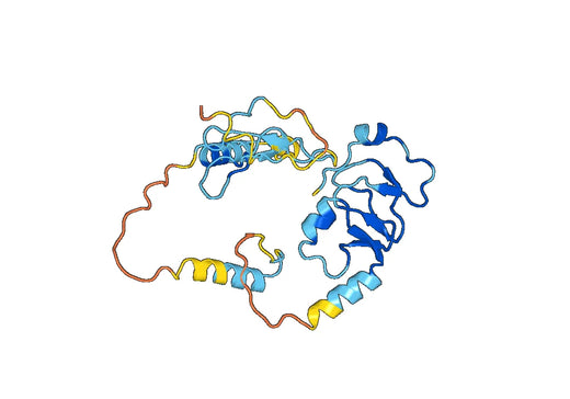 Recombinant Mouse IGFBP4 Protein, N-His
