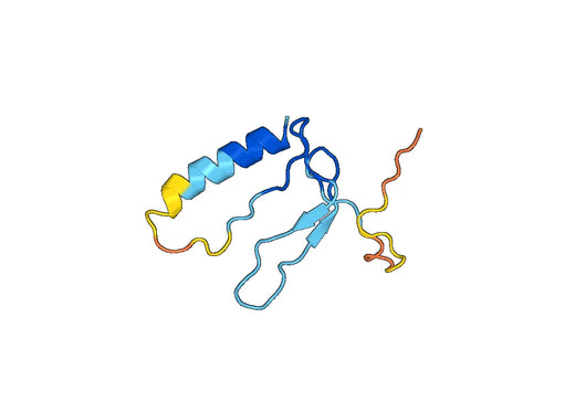 Recombinant Mouse IGFBP6 Protein, N-GST & C-His