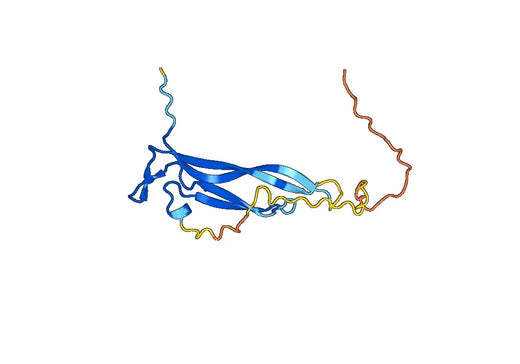 Recombinant Mouse IL17F Protein, N-His