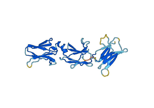 Recombinant Mouse IL17RE Protein, N-His