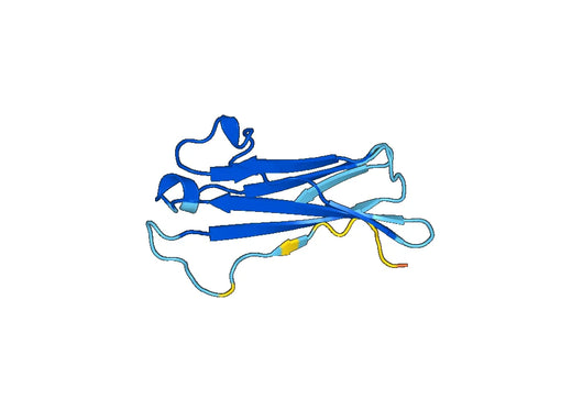 Recombinant Mouse IL18BP Protein, N-His