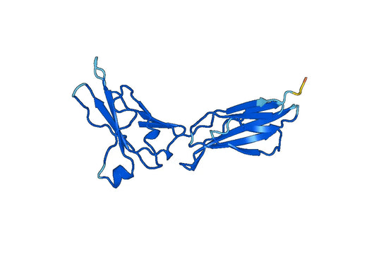 Recombinant Mouse IL20RB Protein, N-His
