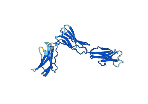 Recombinant Mouse IL23R Protein, N-His