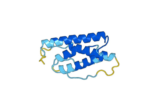 Recombinant Mouse IL31 Protein, N-His