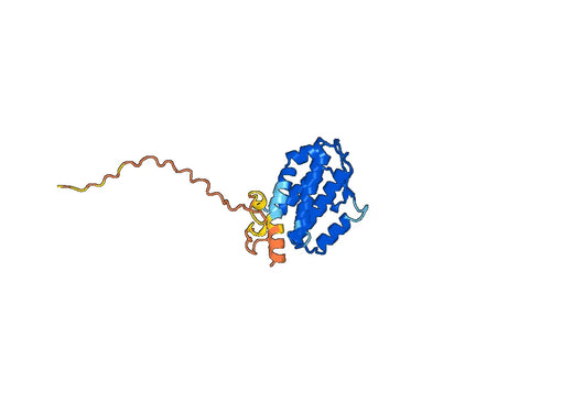 Recombinant Mouse IL34 Protein, N-His