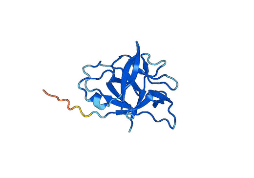 Recombinant Mouse IL36A/IL-1F6 Protein, N-His