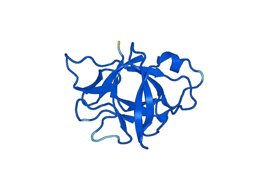 Recombinant Mouse IL36B/IL-1F8 Protein, N-His